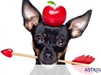 Τα 3 ζώδια που θα τα ρίσκαραν όλα για έναν έρωτα