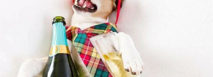 Εσείς ψηφίσατε τα ζώδια που κάνουν τα χειρότερα μεθύσια