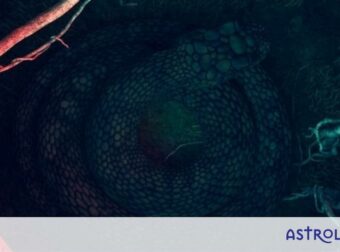 Αυτά τα ζώδια καλούνται μόνιμα να βγάλουν το φίδι από την τρύπα