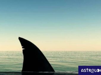 Άρης στους Ιχθύς: Τα… σιγανά ποτάμια να φοβάσαι