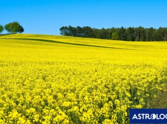 Διάβασε ΔΩΡΕΑΝ την προσωπική σου πρόβλεψη, για σήμερα 01/04/2024