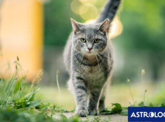 Διάβασε ΔΩΡΕΑΝ την προσωπική σου πρόβλεψη, για σήμερα 20/04/2024