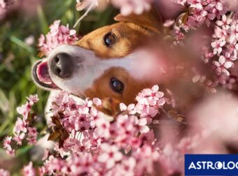 Διάβασε ΔΩΡΕΑΝ την προσωπική σου πρόβλεψη, για σήμερα 14/04/2024