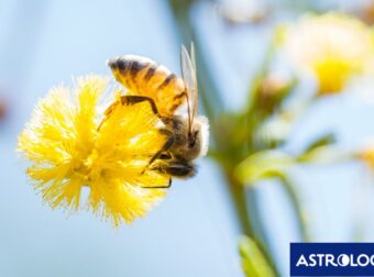 Διάβασε ΔΩΡΕΑΝ την προσωπική σου πρόβλεψη, για σήμερα 12/04/2024