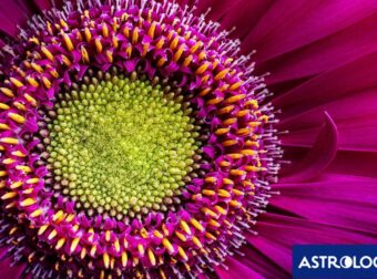 Διάβασε ΔΩΡΕΑΝ την προσωπική σου πρόβλεψη, για σήμερα 21/04/2024