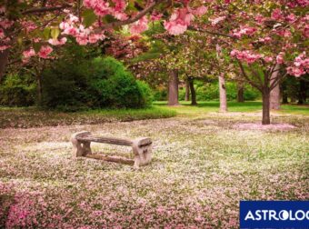 Διάβασε ΔΩΡΕΑΝ την προσωπική σου πρόβλεψη, για σήμερα 17/04/2024