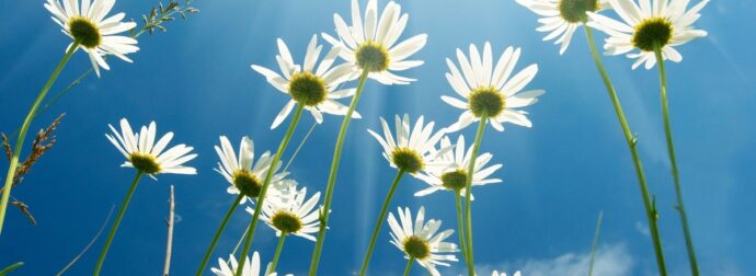 Διάβασε ΔΩΡΕΑΝ την προσωπική σου πρόβλεψη, για σήμερα 29/04/2024