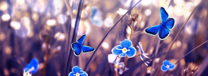 Διάβασε ΔΩΡΕΑΝ την προσωπική σου πρόβλεψη, για σήμερα 07/04/2024