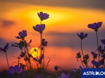 Διάβασε ΔΩΡΕΑΝ την προσωπική σου πρόβλεψη, για σήμερα 18/05/2024