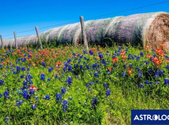 Διάβασε ΔΩΡΕΑΝ την προσωπική σου πρόβλεψη, για σήμερα 12/05/2024