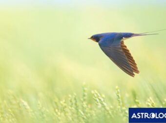 Διάβασε ΔΩΡΕΑΝ την προσωπική σου πρόβλεψη, για σήμερα 19/05/2024
