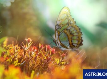 Διάβασε ΔΩΡΕΑΝ την προσωπική σου πρόβλεψη, για σήμερα 09/05/2024