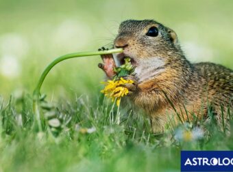 Διάβασε ΔΩΡΕΑΝ την προσωπική σου πρόβλεψη, για σήμερα 23/05/2024