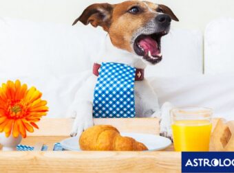 Δύο ζώδια θα είναι διεκδικητικά και δραστήρια, σήμερα, 09/05