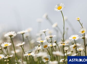 Διάβασε ΔΩΡΕΑΝ την προσωπική σου πρόβλεψη, για σήμερα 22/05/2024