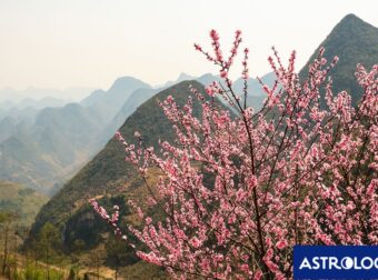 Διάβασε ΔΩΡΕΑΝ την προσωπική σου πρόβλεψη, για σήμερα 10/05/2024
