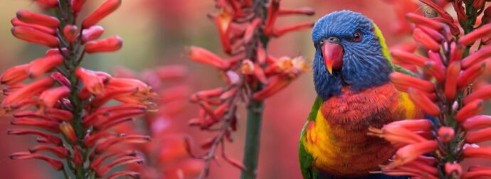 Διάβασε ΔΩΡΕΑΝ την προσωπική σου πρόβλεψη, για σήμερα 11/05/2024