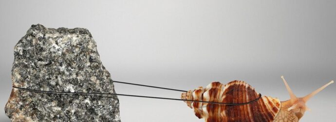 Δύο ζώδια θα είναι γεμάτα πείσμα και απολυτότητα, σήμερα, 21/05