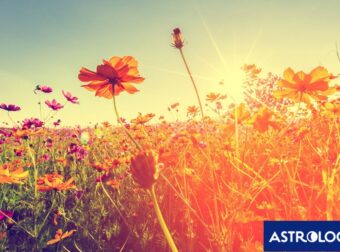 Διάβασε ΔΩΡΕΑΝ την προσωπική σου πρόβλεψη, για σήμερα 31/05/2024