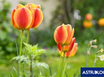 Διάβασε ΔΩΡΕΑΝ την προσωπική σου πρόβλεψη, για σήμερα 16/05/2024