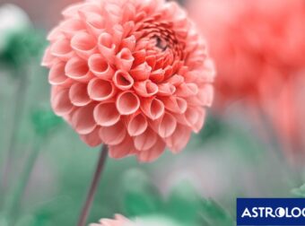 Διάβασε ΔΩΡΕΑΝ την προσωπική σου πρόβλεψη, για σήμερα 29/05/2024