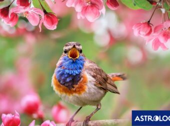 Διάβασε ΔΩΡΕΑΝ την προσωπική σου πρόβλεψη, για σήμερα 30/05/2024