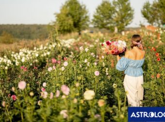 Ημερήσιες Προβλέψεις για όλα τα Ζώδια, 09/05: Η επικοινωνία σε πρώτο πλάνο