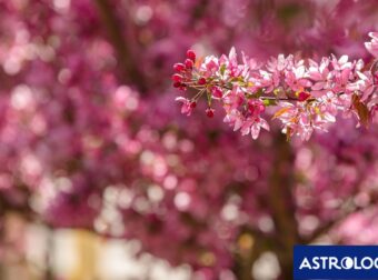 Διάβασε ΔΩΡΕΑΝ την προσωπική σου πρόβλεψη, για σήμερα 26/05/2024