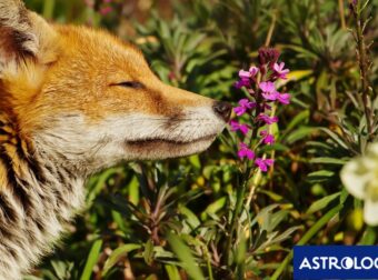 Διάβασε ΔΩΡΕΑΝ την προσωπική σου πρόβλεψη, για σήμερα 13/05/2024
