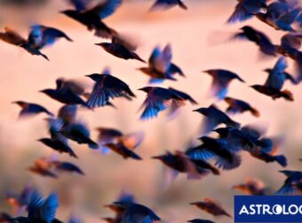 Διάβασε ΔΩΡΕΑΝ την προσωπική σου πρόβλεψη, για σήμερα 07/05/2024