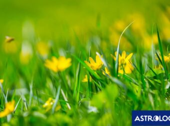 Διάβασε ΔΩΡΕΑΝ την προσωπική σου πρόβλεψη, για σήμερα 14/05/2024