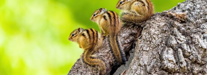 Διάβασε ΔΩΡΕΑΝ την προσωπική σου πρόβλεψη, για σήμερα 17/05/2024