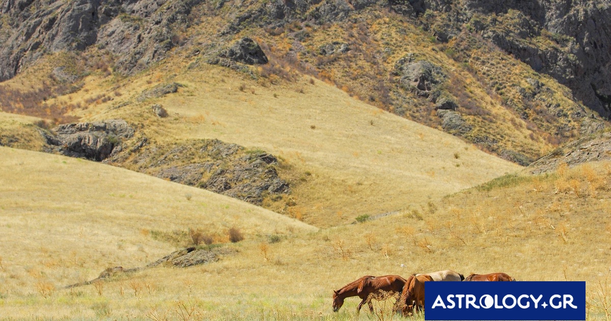 Διάβασε ΔΩΡΕΑΝ την προσωπική σου πρόβλεψη, για σήμερα 28/06/2024