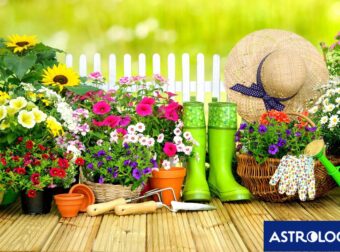 Ζώδια Σήμερα 13/06: Όλα τακτοποιημένα