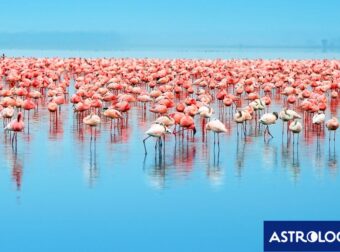 Διάβασε ΔΩΡΕΑΝ την προσωπική σου πρόβλεψη, για σήμερα 12/06/2024