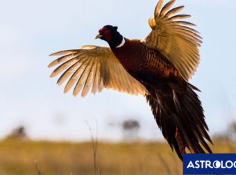Διάβασε ΔΩΡΕΑΝ την προσωπική σου πρόβλεψη, για σήμερα 26/06/2024
