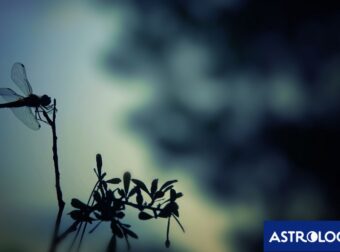 Διάβασε ΔΩΡΕΑΝ την προσωπική σου πρόβλεψη, για σήμερα 25/06/2024