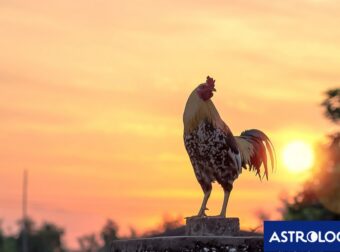 Διάβασε ΔΩΡΕΑΝ την προσωπική σου πρόβλεψη, για σήμερα 02/06/2024