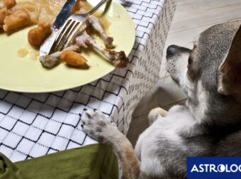Δύο ζώδια θα έχουν τρελές απαιτήσεις, σήμερα, 20/06