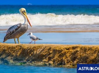 Διάβασε ΔΩΡΕΑΝ την προσωπική σου πρόβλεψη, για σήμερα 20/06/2024