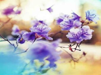 Αφιέρωμα στην αγάπη: οι σχέσεις, το σύμπαν και η άνοιξη!