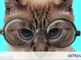 Έτσι θα καταλάβεις ότι ένα ζώδιο τα έχει πάρει μαζί σου!