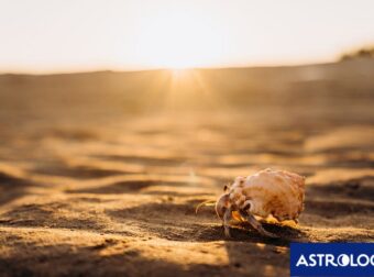 Διάβασε ΔΩΡΕΑΝ την προσωπική σου πρόβλεψη, για σήμερα 08/06/2024