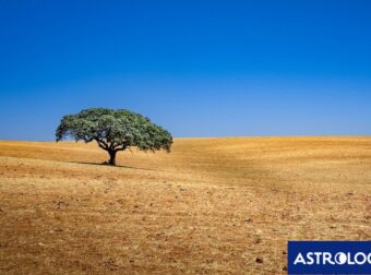 Διάβασε ΔΩΡΕΑΝ την προσωπική σου πρόβλεψη, για σήμερα 07/06/2024