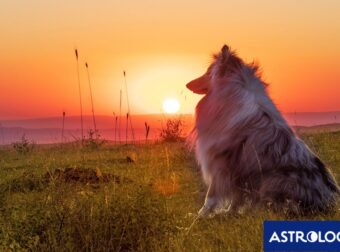 Διάβασε ΔΩΡΕΑΝ την προσωπική σου πρόβλεψη, για σήμερα 22/06/2024