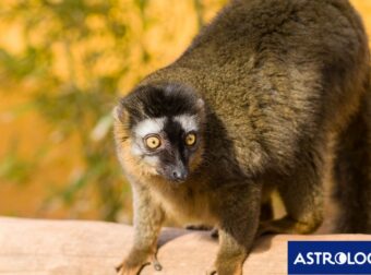 Διάβασε ΔΩΡΕΑΝ την προσωπική σου πρόβλεψη, για σήμερα 04/07/2024