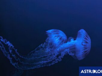 Διάβασε ΔΩΡΕΑΝ την προσωπική σου πρόβλεψη, για σήμερα 16/07/2024