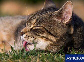 Διάβασε ΔΩΡΕΑΝ την προσωπική σου πρόβλεψη, για σήμερα 02/07/2024