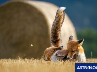 Διάβασε ΔΩΡΕΑΝ την προσωπική σου πρόβλεψη, για σήμερα 30/06/2024