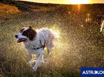 Διάβασε ΔΩΡΕΑΝ την προσωπική σου πρόβλεψη, για σήμερα 24/07/2024